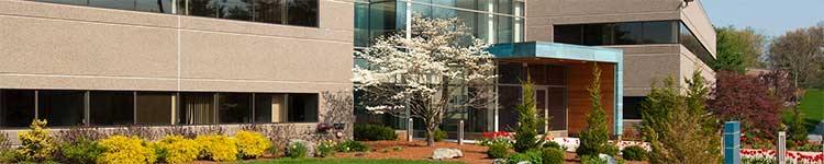 Commercial Mortgages Header